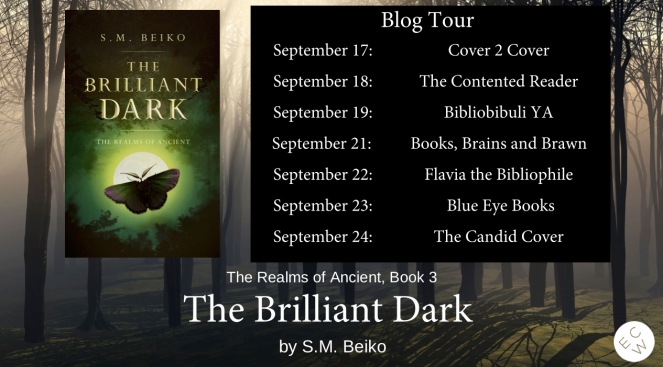 The Brilliant Dark tour